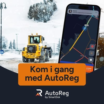 AutoReg 11