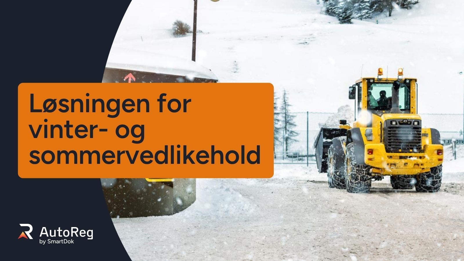 AutoReg 169